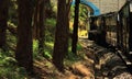 scenic railroad track of nilgiri mountain railway, beautiful toy train journey through the lush green nilgiri mountains