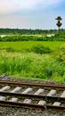 Scenic Railway track in rural country side , India, Asia Royalty Free Stock Photo