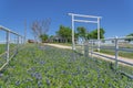 Scenic ranch landscape in Texas with wildflower Bluebonnet blooming