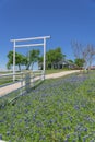 Scenic ranch landscape in Texas with wildflower Bluebonnet blooming