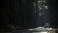 Scenic Redwood Highway Drive Royalty Free Stock Photo