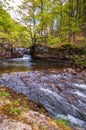 Scenic river and falls in the Brecon Beacons Royalty Free Stock Photo