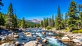 Scenic river flowing through a lush forested landscape under a clear sky Royalty Free Stock Photo