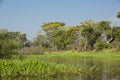 Scenic River Passage in North Pantanal, Brazil