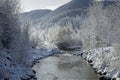 Scenic river during winter in Idaho Royalty Free Stock Photo