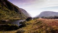 Scenic road through a beautiful valley in Norway Royalty Free Stock Photo