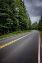 Scenic road with a bright yellow centerline winding through a lush forest. Royalty Free Stock Photo