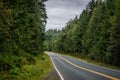 Scenic road with a bright yellow centerline winding through a lush forest. Royalty Free Stock Photo