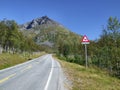 Scenic road and reindeer warning