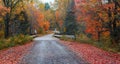 Scenic road in Van riper state park in Michigan upper peninsula during autumn time