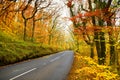 Scenic road winding through autumn forest of Dartmoor National Park, a vast moorland in the county of Devon, in southwest England. Royalty Free Stock Photo