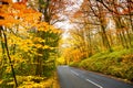 Scenic road winding through autumn forest of Dartmoor National Park, a vast moorland in the county of Devon, in southwest England. Royalty Free Stock Photo