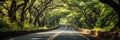 Scenic Road Winding Through A Tunnel Of Trees