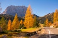 Scenic roadway in Dolomite Alps with beautiful yellow larch trees and Sassolungo mountain on background