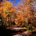 Scenic Roadway - Superior National Forest