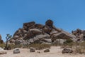 Scenic rock formation at the Joshua Tree National Park, California Royalty Free Stock Photo
