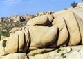 Scenic rocks in Joshua Tree National Park Royalty Free Stock Photo