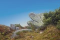 Scenic rocks like a sleeping lion or sleeping giant at the summit of tne mountain petit balloon in the Alscae region