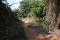 Scenic rocky path on a sunny day in Babu valley (Weid Babu), Zurrieq, Malta. Picturesque gorgeous scene