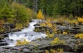 Scenic Rogue River Gorge Royalty Free Stock Photo