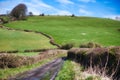 Scenic rolling hills in the English countryside with lush green grass and blue sky Royalty Free Stock Photo