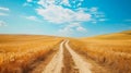 Scenic route through golden wheat field