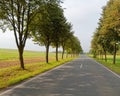 Scenic route with tree lines Royalty Free Stock Photo