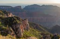 Scenic Grand Canyon North Rim Royalty Free Stock Photo