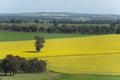 Scenic rural areas point view in regional Australia of Walla Walla is a town in the Riverina region of southern New South Wales. Royalty Free Stock Photo