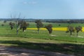 Scenic rural areas point view in regional Australia of Walla Walla is a town in the Riverina region of southern New South Wales. Royalty Free Stock Photo