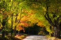 Scenic rural drive in Vermont