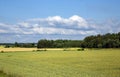Scenic rural landscape with fields of ripening wheat Royalty Free Stock Photo