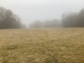 Scenic rural landscape with lush grass and tall trees partially obscured by a dense fog