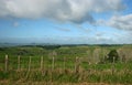 Scenic rural landscape of pastureland with wood posts and wired fence, blue sky and dramatic clouds in Waitomo, New Zealand Royalty Free Stock Photo