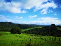 Scenic rural landscape with trees and mountains in the background. New Zealand Royalty Free Stock Photo