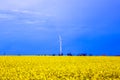 Scenic rural landscape with yellow rape, rapeseed or canola field. Rapeseed field, Blooming canola flowers close up. Rape on the Royalty Free Stock Photo