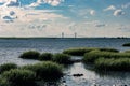 Scenic saltwater marsh from Jekyll Island, Georgia with Sidney Lanier bridge in the background.