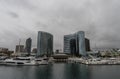 Scenic San Diego marina and downtown vista on a heavily overcast day, California