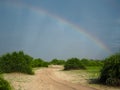 Scenic sand route through green savanna plain with soft beautiful rainbow and bird on blue sky copyspace background, Chobe nation