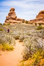 Scenic Sandstone Formations of Arches National Park, Utah, USA Royalty Free Stock Photo