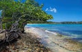 Sapphire beach on St. Thomas island