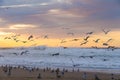 Scenic seascape and flock of birds on the beach at sunset with amazing colorful cloudy sky