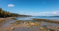 Scenic Shore on Pacific Ocean West Coast.