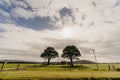 Scenic shot of an Australian farm, featuring a foreground of lush green grass