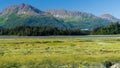 Scenic shot of the Chugach Mountains across the Matanuska River and a grass field in Valdez, Alaska