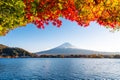 Scenic shot of colorful maple leaves against the view of Mount Fuji and Lake Kawaguchi Royalty Free Stock Photo