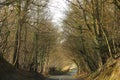 Scenic shot of country road along trees in the lush forest Royalty Free Stock Photo