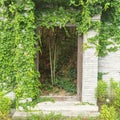 Scenic shot of the entrance of an old building completely covered with green plants