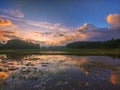 Scenic shot of fields and vegetation silhouettes under a cloudy sunrise with a heavenly effect