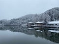 Scenic shot of houses on the coast of a lake in winter surrounded by lush forestr Royalty Free Stock Photo